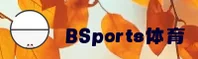 BSports(BSPORTS)官方网站 · 专业体育平台 · F3Z7